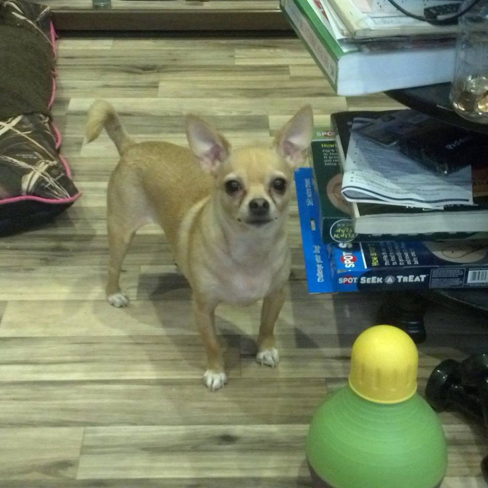 Meet your Posher, Viki